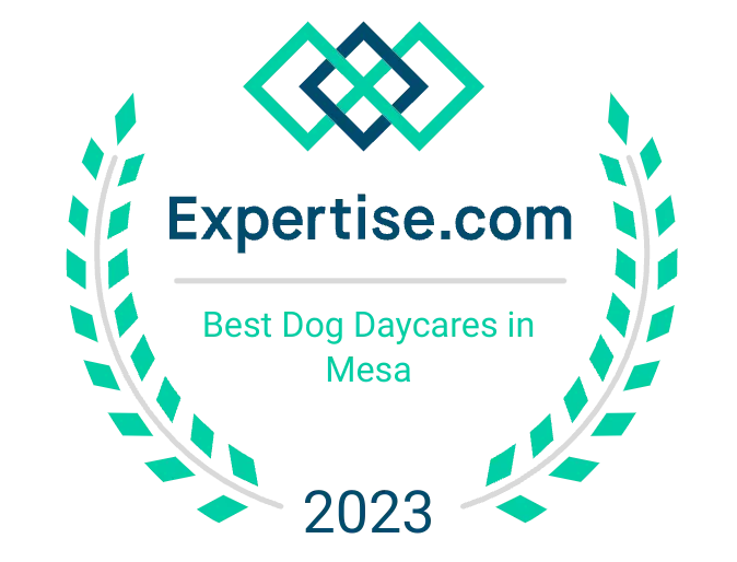 Expertise Award- Best Dog Daycare in Mesa. Awarded to 4 Paws Pet Resort